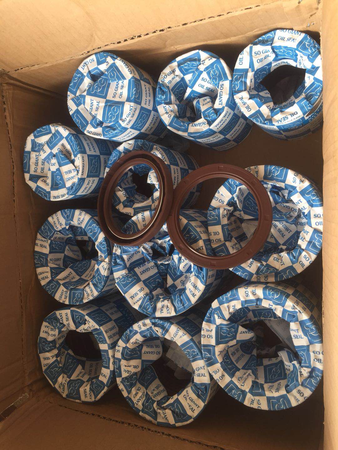 ̨��SOG���ڹǼ��ͷ�